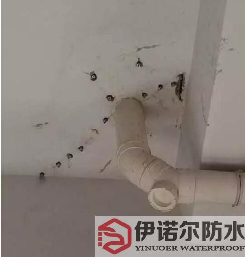 張家港蘇州防水工程的基本內(nèi)容是什么？